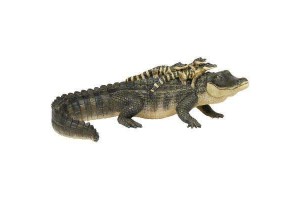 Figurine Alligator avec Bébés